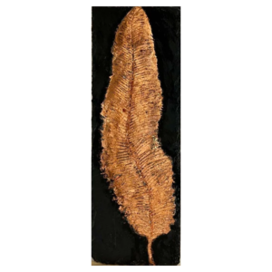 Plume de bronze