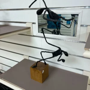 INSTANTANÉ
