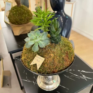 Composition 3 plants