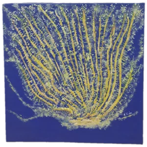 Jardin jaune des mers